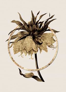 Gold Kaisers Crown Flower
