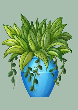 House Plant