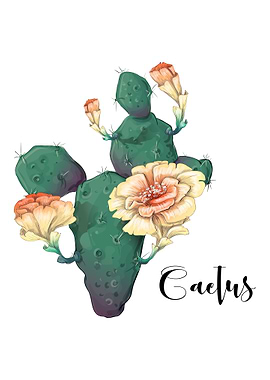 Cactus Plant