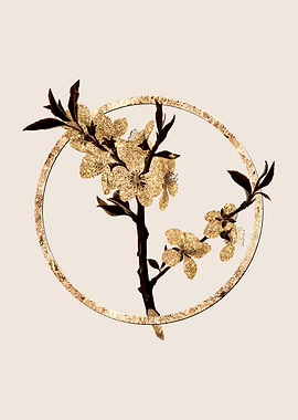 Gold Almond Tree Flower