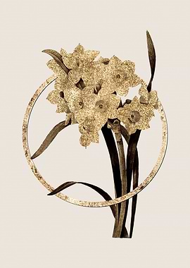 Gold Daffodil Flower