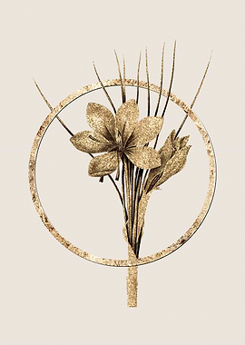 Gold Autumn Crocus Flower