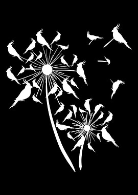 COCKATIEL Birds Funny Bird