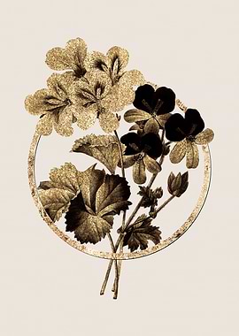 Gold Cranes Bill Geranium