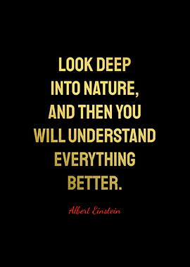 Albert Einstein Quotes