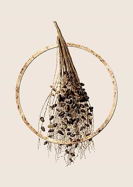 Gold Spadice of the Palm