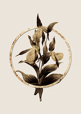 Gold Sabot des Alpes