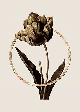 Gold Tulip Flower