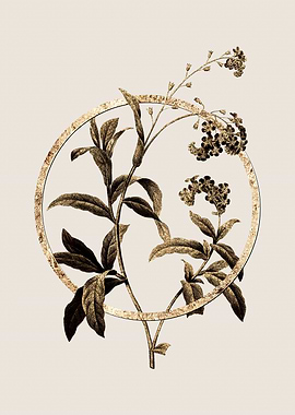 Gold Water Forget Me Not