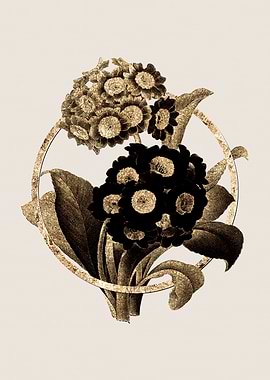 Gold Mountain Cowslip