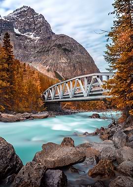 Autumnal Canada Bridge