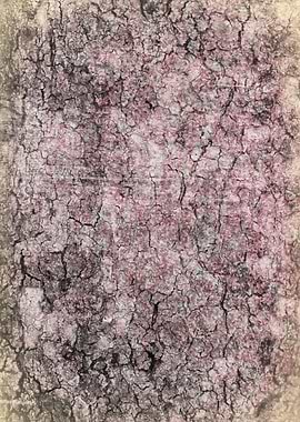 tree trunk texturized