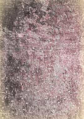 tree trunk texturized