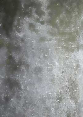 tree trunk texturized