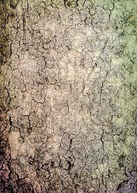 tree trunk texturized
