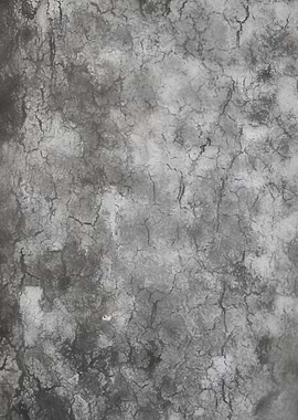 tree trunk texturized