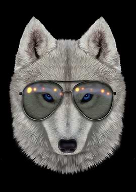 Polar Wolf in Aviator