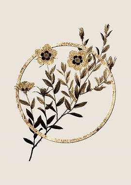 Gold Rosa Persica Flower