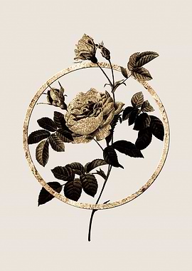 Gold Pink Rose Turbine