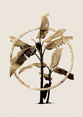 Gold Scarlet Banana Flower