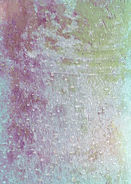 tree trunk texturized