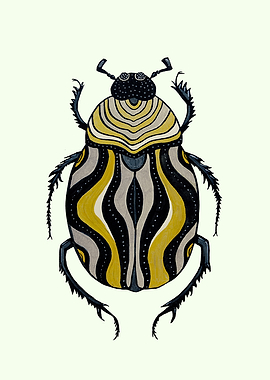 Cool Striped Beetle