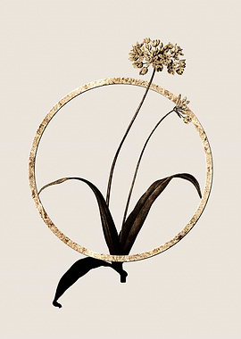 Gold Spring Garlic Flower