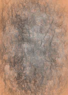 tree trunk texturized