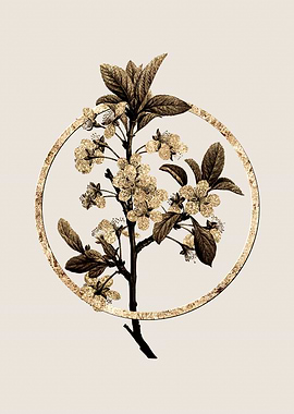 Gold White Plum Flower