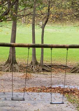 swing in the park