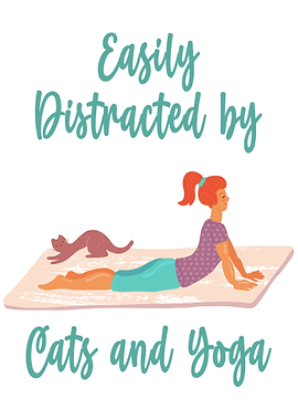 Cats and Yoga