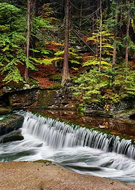 Autumn Forest Waterfall