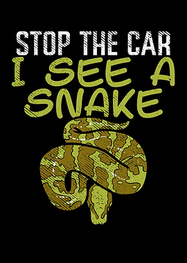 Stop The Car I See A Snake
