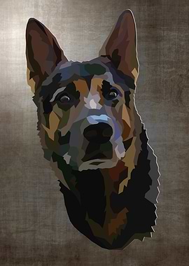 German shepherd