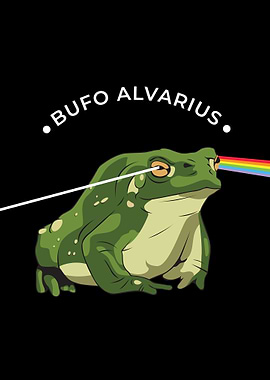 Bufo Alvarius