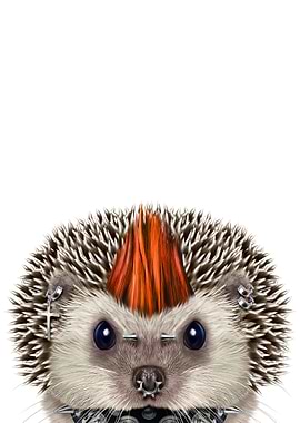 Punk Rock Cute Hedgehog