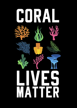 Sea Creatures Underwater