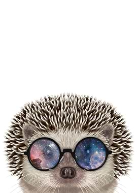 Hedgehog in Space Sunglass