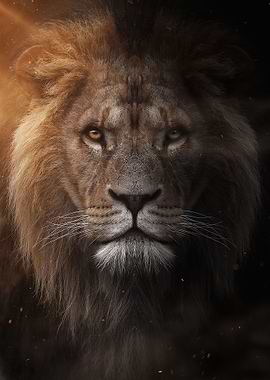 Dark lion face poster