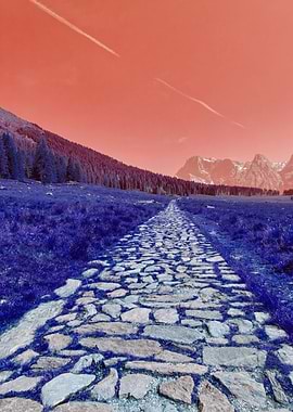 trail in the mountain