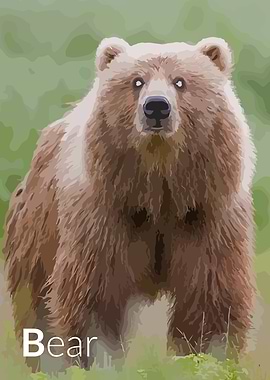 bear