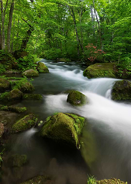 歐拉塞溪的春天