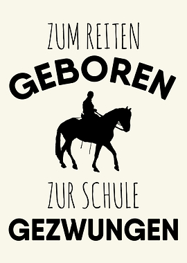 Witziger Pferde Spruch