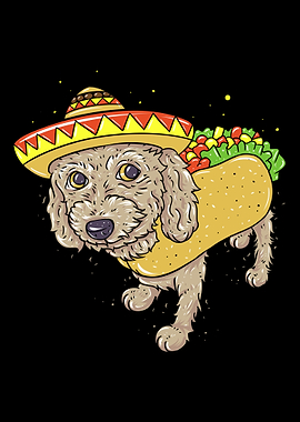 Dog Taco Owner