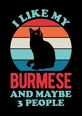 Burmese Cat Funny