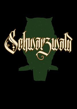 Schwarzwald Eule Uhu Vogel