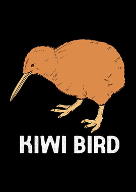 Kiwi Bird