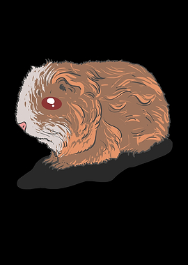 Merino Guinea Pig
