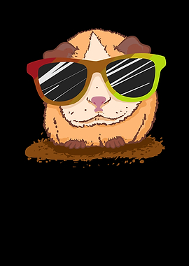 Guinea Pig Sunglasses