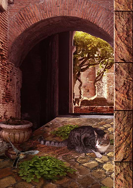 I wished for a tiny bird